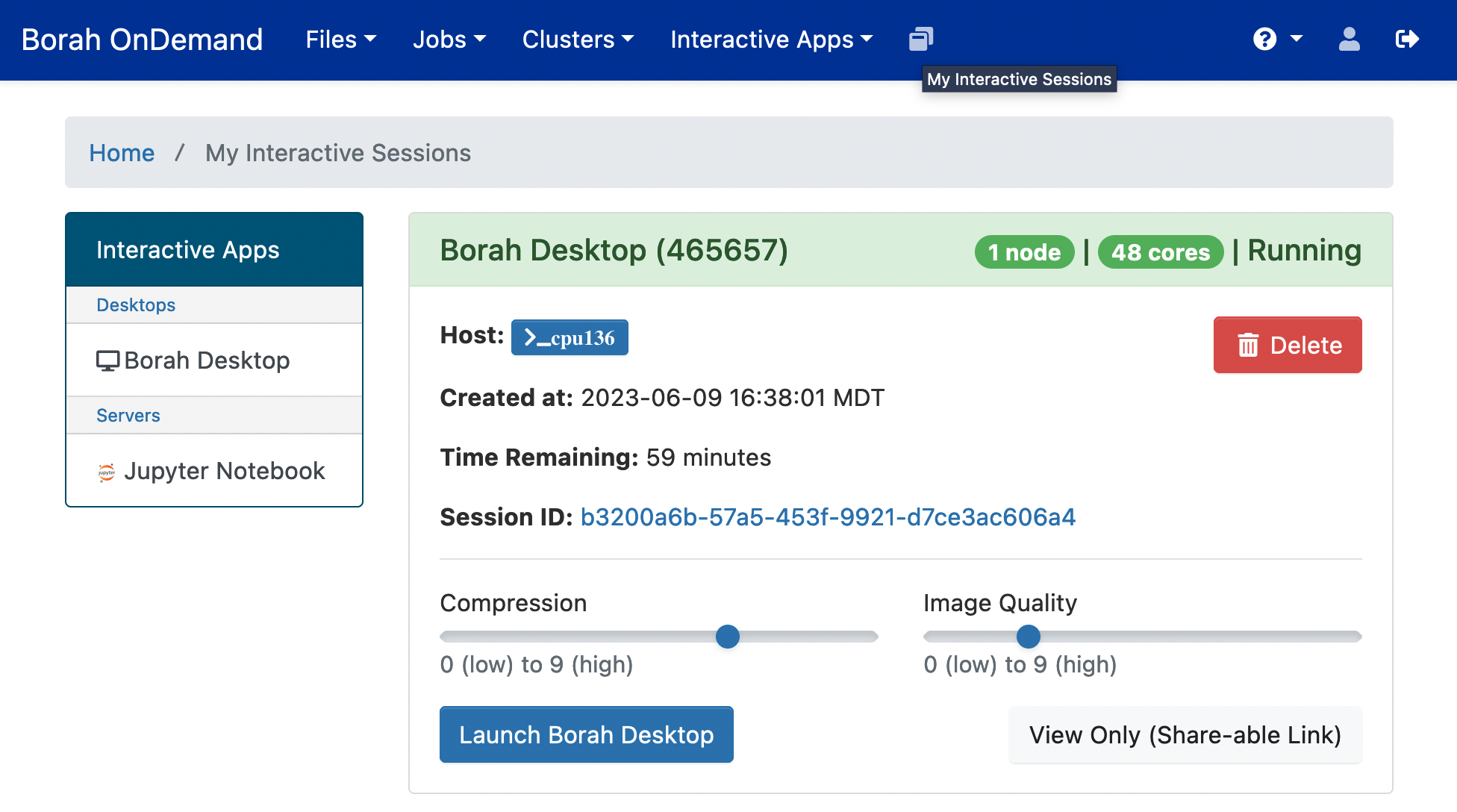 Borah OnDemand showing the My Interactive Sessions page with the icon highlighted
